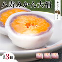 【ふるさと納税】八寿みかん大福3個セット 【ふるさと納税 人気 おすすめ ランキング 大福 みっちゃん大福 温州みかん お土産 セット 八樹みかん 詰合せ 贈答...