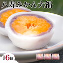 【ふるさと納税】八寿みかん大福6個セット 【ふるさと納税 人気 おすすめ ランキング 大福 みっちゃん大福 温州みかん お土産 セット 八樹みかん 詰合せ 贈答...
