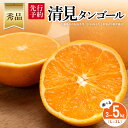 【ふるさと納税】【先行予約】【秀品】清見タンゴール【選べる数量】※離島への配送不可 (2026年3月上旬頃より順次発送) 【ふるさと納税 人気 おすすめ ランキ...