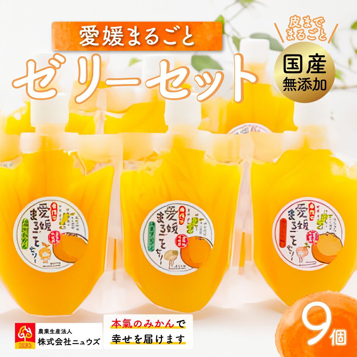 【ふるさと納税】【皮までまるごと国産無添加】愛媛まるごとゼリーセット（9個） 【ふるさと納税 人気 おすすめ ランキング みかん ミカン 蜜柑 ゼリー セット フルーツ 果物 ニュウズ 愛媛県 伊方町 送料無料】 IKTF009