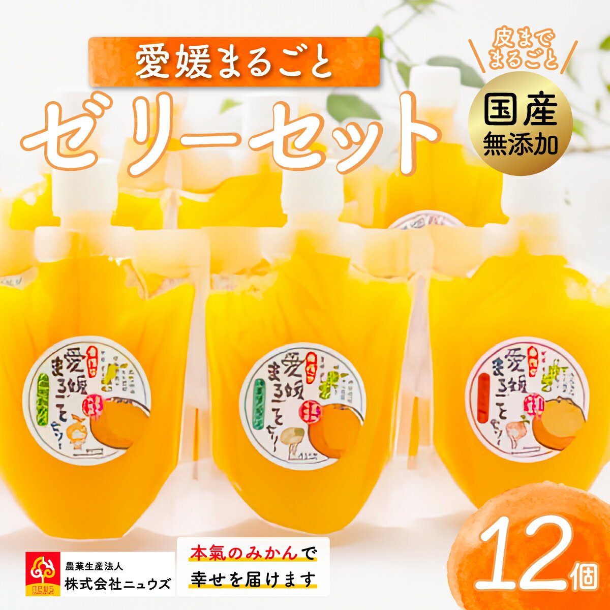 【ふるさと納税】【皮までまるごと国産無添加】愛媛まるごとゼリーセット（12個） 【ふるさと納税 人気 おすすめ ランキング みかん ミカン 蜜柑 ゼリー セット フルーツ 果物 ニュウズ 愛媛県 伊方町 送料無料】 IKTF012