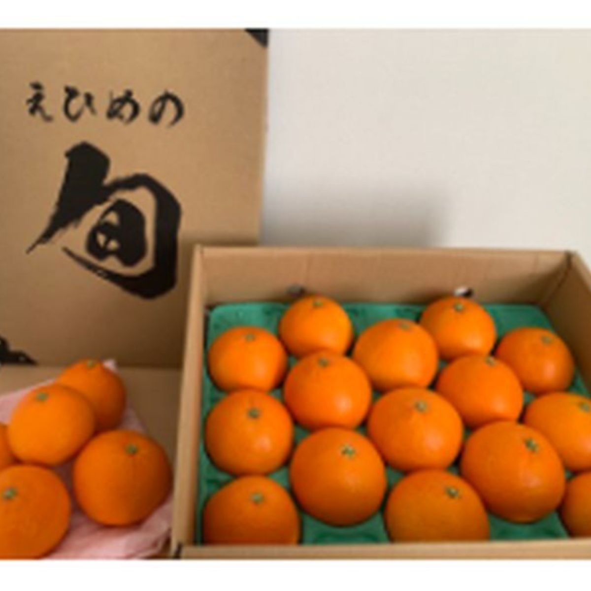 愛媛県伊方町の画像2