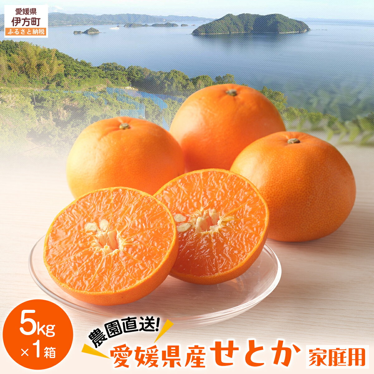 [先行予約][数量限定]＼農園直送/愛媛県産せとか5kg×1箱(家庭用)(2026年2月下旬より順次発送) [ふるさと納税 人気 おすすめ ランキング 柑橘 みかん ミカン 蜜柑 せとか 果物 フルーツ 柑橘の大トロ 家庭用 農園直送 産地直送 岡市農 ]