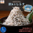 【ふるさと納税】 訳ありしらす 1kg 【 ふるさと納税 人気 おすすめ ランキング しらす シラス おかず ご飯 ご飯のお供 おにぎり 訳あり 愛媛県 伊方町...