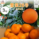 【ふるさと納税】【先行予約】【数量限定】Saito Orange Farmの愛果28号(まどんな)3kg (2026年1月下旬頃より順次発送) 【 ふるさと納税 人気 おすすめ みかん 蜜柑 柑橘 愛果28号 フルーツ 果物 西宇和 Saito Orange Farm 愛媛県 伊方町 送料無料 】 IKTAQ017