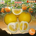 【ふるさと納税】【栽培期間中農薬不使用】【先行受付】【数量限定】農園直送!愛媛県産ニューサマーオレンジ 5kg (2026年3月下旬頃より順次発送) 【ふるさと...