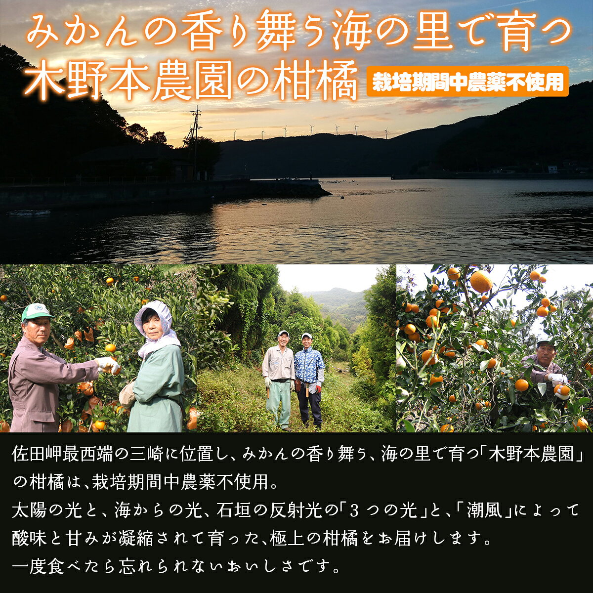 愛媛県伊方町の画像2