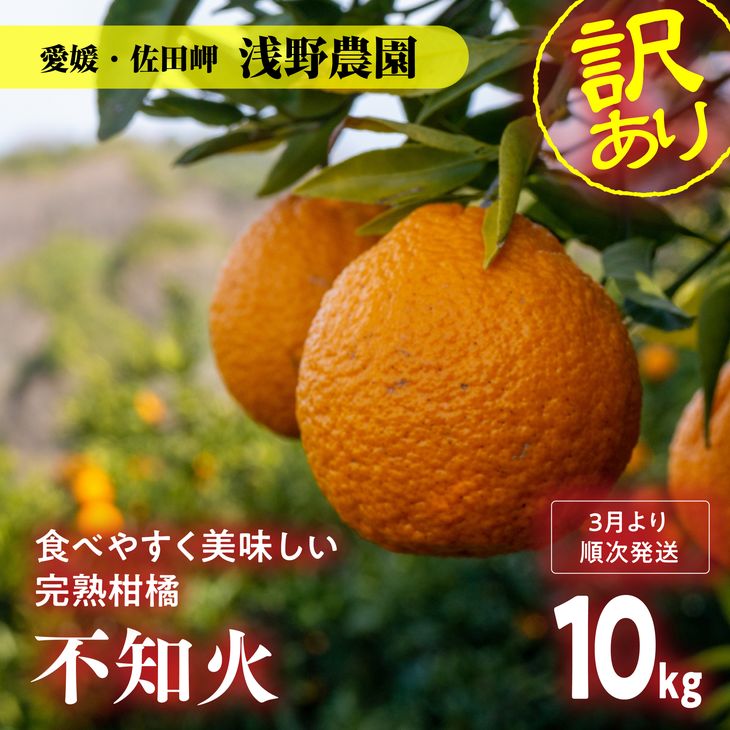 2位! 口コミ数「11件」評価「3.55」【先行予約】訳あり 不知火 計10kg｜柑橘 みかん ミカン フルーツ 果物 でこぽん デコポンと同品種 愛媛 ※2025年2月上旬頃より順･･･ 