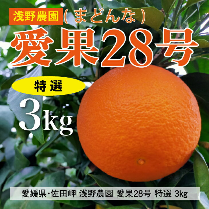 75位! 口コミ数「0件」評価「0」【先行予約】【数量限定】浅野農園の愛果28号（まどんな）特選3kg｜柑橘 みかん ミカン フルーツ 果物 愛媛 有名 代表 高級 ※2024･･･ 