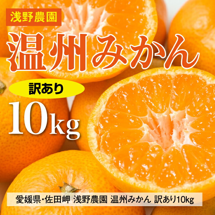 74位! 口コミ数「0件」評価「0」【先行予約】浅野農園の温州みかん 訳あり10kg｜柑橘 みかん ミカン フルーツ 果物 愛媛 ※2024年12月上旬～12月中旬頃に順次発送･･･ 