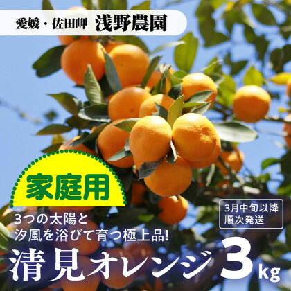 【家庭用】清見オレンジ 約3kg【2024年3月中旬以降～順次発送予定】｜ 愛媛県産 伊方町特産品 佐田岬 浅野農園 完熟柑橘 清見ゴールド 糖度ビタミンたっぷり ※離島への配送不可※着日指定不可