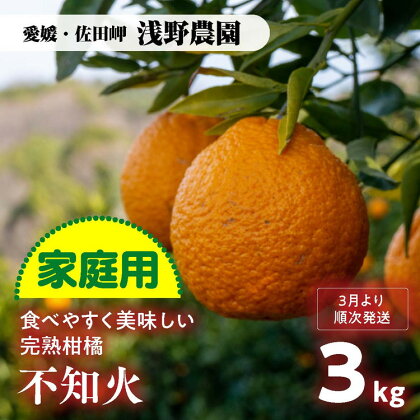 【家庭用】不知火 約3kg【2024年3月上旬頃～順次発送予定】｜ 愛媛県産 伊方町特産品 佐田岬 浅野農園 完熟 春柑橘 不知火 糖度ビタミンたっぷり ※離島への配送不可※着日指定不可