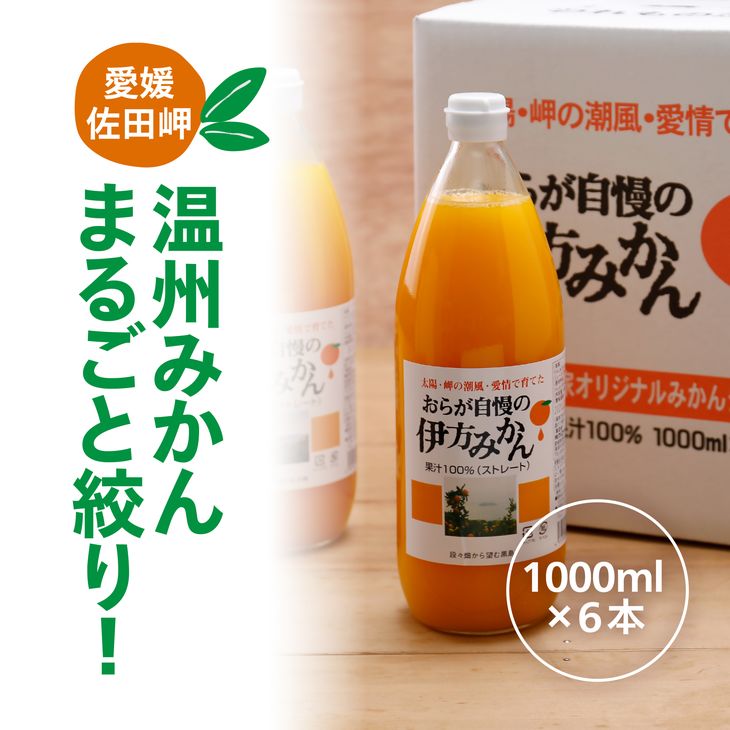 【ふるさと納税】【愛媛県産】おらが自慢の伊方みかんジュース（1000ml×6本）ストレート果汁100％◇