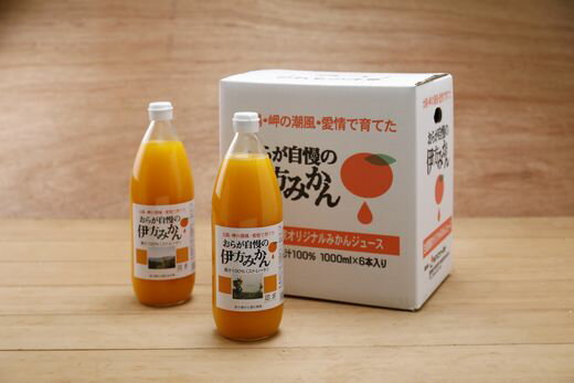 【ふるさと納税】【愛媛県産】おらが自慢の伊方みかんジュース（1000ml×6本）ストレート果汁100％◇