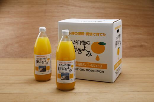 【ふるさと納税】【愛媛県産】おらが自慢の伊方きよみジュース（1000ml×6本） ストレート果汁100％◇