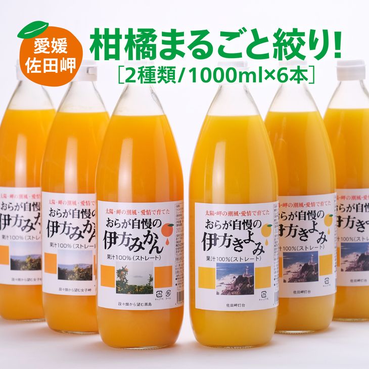 11位! 口コミ数「0件」評価「0」【愛媛県産】おらが自慢のジュースセット（1000ml×6本/みかん3、きよみ3）ストレート果汁100％◇