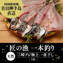 【ふるさと納税】【一本釣り 匠の漁】天然三崎アジ一夜干しセット※2023年9月より順次発送予定