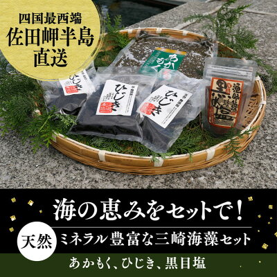 楽天ふるさと納税　【ふるさと納税】天然アカモクセット（アカモク500g・乾燥ひじき60g・黒目塩1袋）※2023年9月より順次発送予定