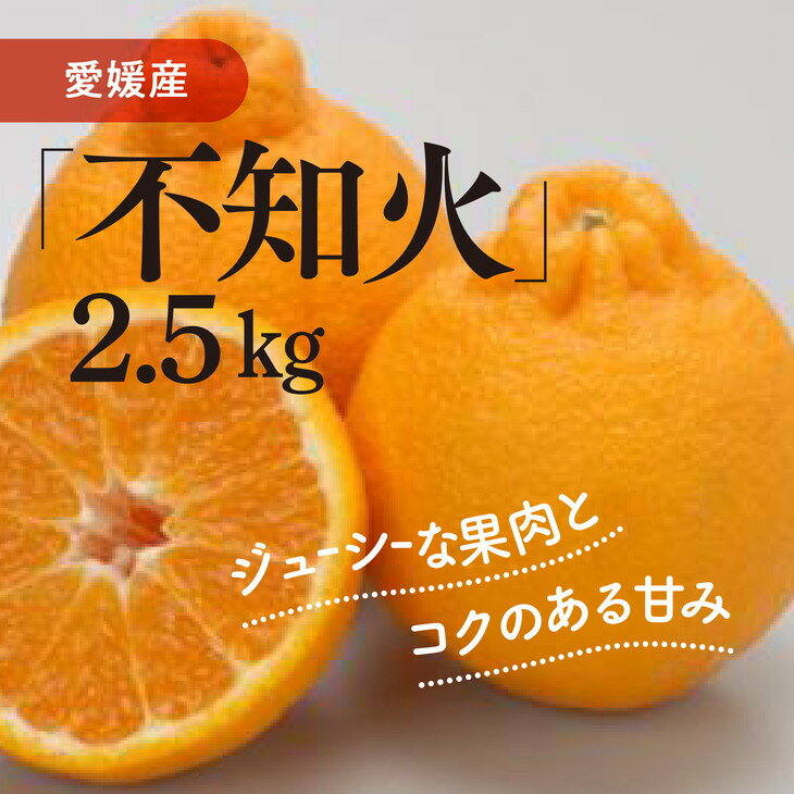 【ふるさと納税】不知火（生果2.5kg）｜柑橘 みかん ミカ