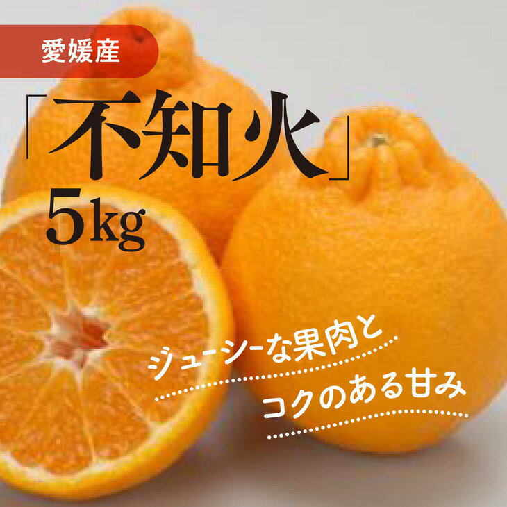 【ふるさと納税】不知火（生果5kg）｜柑橘 みかん ミカン 