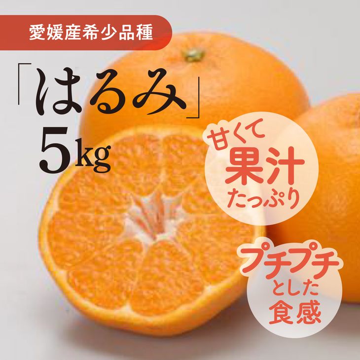 【ふるさと納税】【数量限定】はるみ（生果5kg）｜柑橘 みか