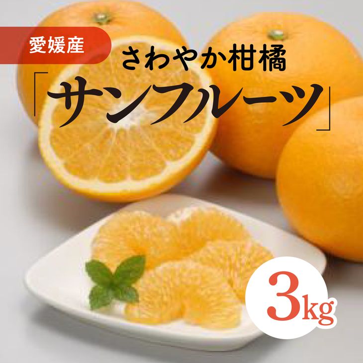 【ふるさと納税】サンフルーツ（生果3kg）｜柑橘 みかん ミ