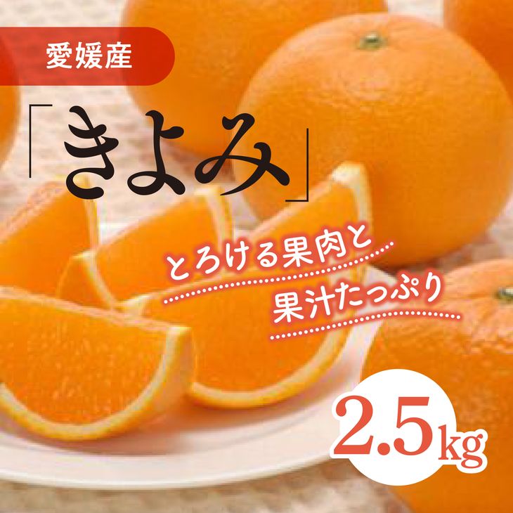 【ふるさと納税】清見タンゴール（生果2.5kg）｜柑橘 みか