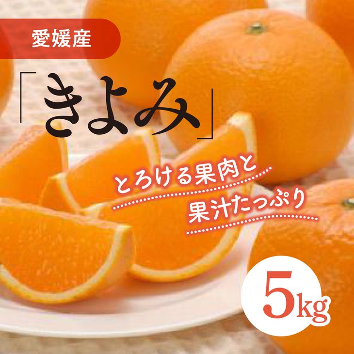 【ふるさと納税】清見タンゴール（生果5kg）｜柑橘 みかん 