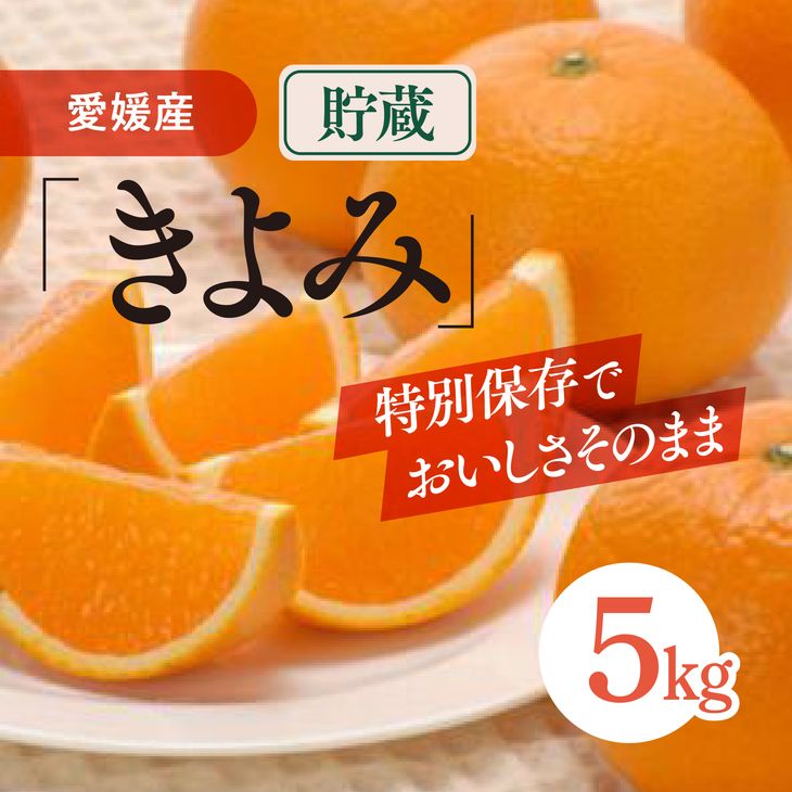 【ふるさと納税】清見タンゴール（貯蔵・生果5kg）｜柑橘 み