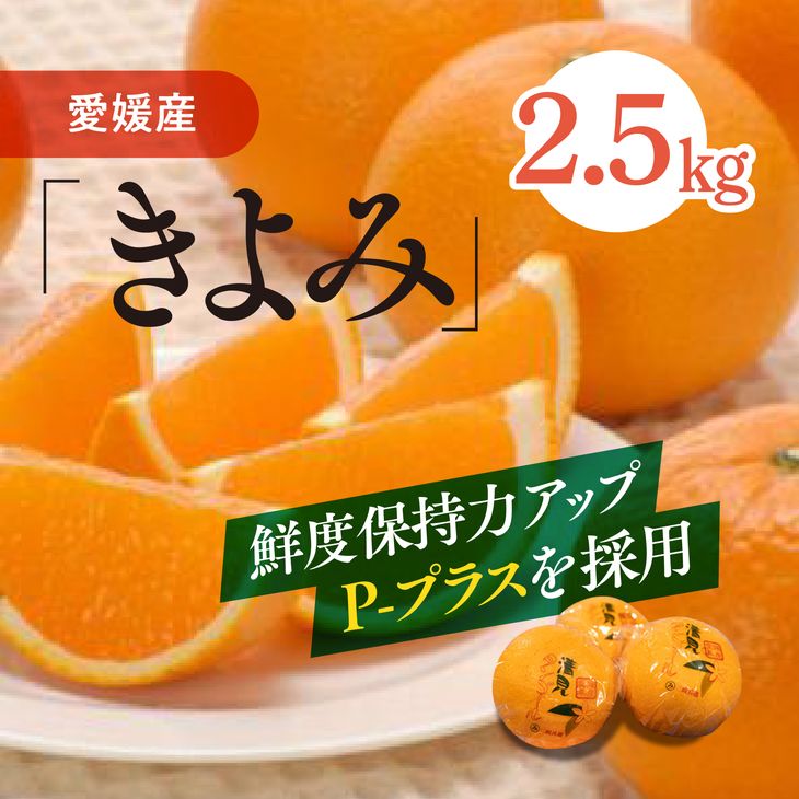 清見タンゴール(Pプラ包装・生果2.5kg)≪みかん 甘い 愛媛県産 完熟≫※離島への配送不可※2024年6月中旬頃より順次発送予定