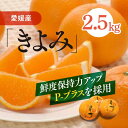 18位! 口コミ数「0件」評価「0」清見タンゴール（Pプラ包装・生果2.5kg）≪みかん 甘い 愛媛県産 完熟≫※離島への配送不可※2024年6月中旬頃より順次発送予定