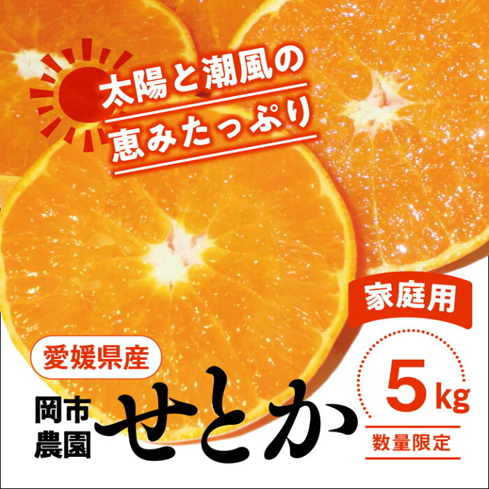 【ふるさと納税】【先行予約・数量限定】＼農園直送／愛媛県産せとか5kg×1箱（家庭用）限定50箱※2023年2月中旬～3月下旬頃に順次発送予定※着日指定送不可