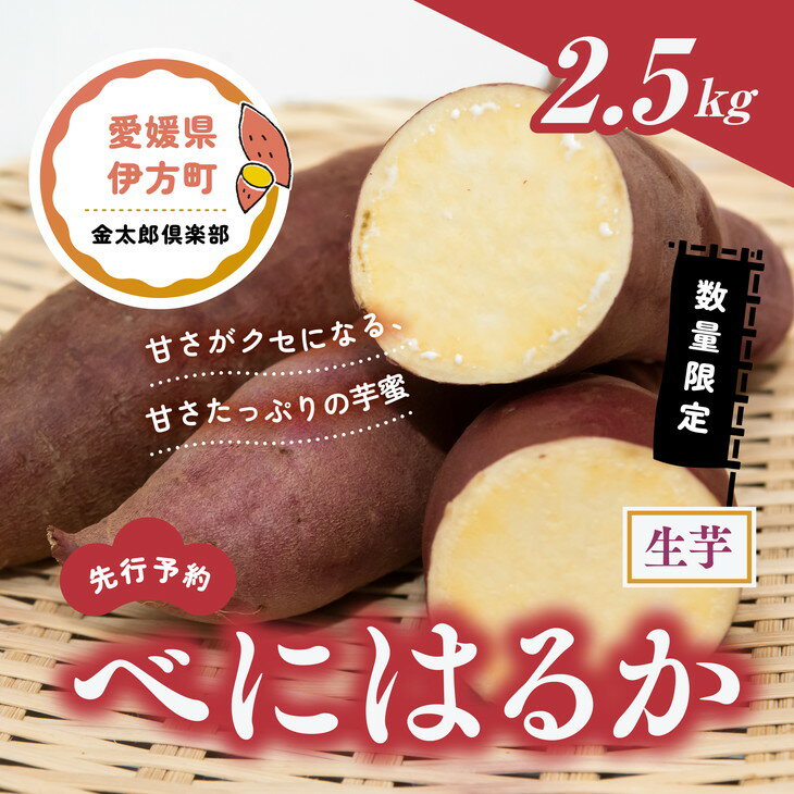 [先行予約][数量限定]べにはるか 生芋(2.5kg)| 紅はるか さつまいも サツマイモ 産地直送 ※2024年12月上旬〜2025年4月下旬頃に順次発送予定