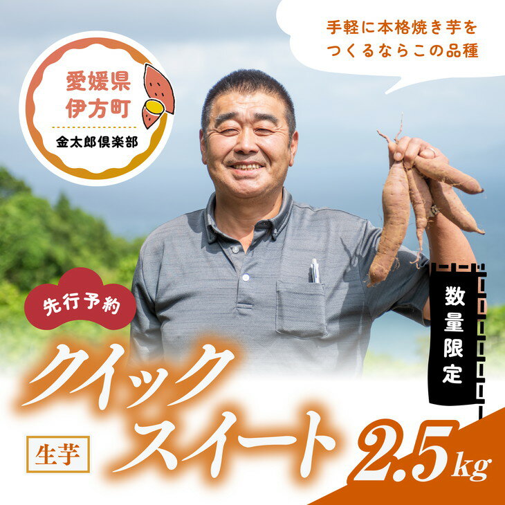 [先行予約][数量限定]クイックスイート 生芋(2.5kg)| さつまいも サツマイモ 産地直送 ※2024年12月上旬〜2025年4月下旬頃に順次発送予定