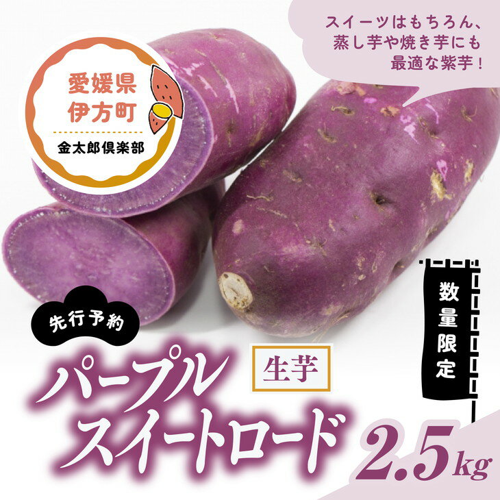 パープルスイートロード 生芋（2.5kg）| さつまいも サツマイモ 紫 産地直送　※2024年12月上旬～2025年4月下旬頃に順次発送予定