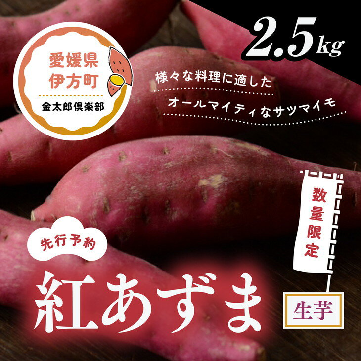 [先行予約][数量限定]紅あずま 生芋(2.5kg)| さつまいも サツマイモ 紫 産地直送 ※2024年12月上旬〜2025年4月下旬頃に順次発送予定