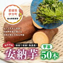 【ふるさと納税】【先行予約】朝採り新鮮！無農薬！安納芋　芋苗（50本）| さつまいも サツマイモ 家庭菜園※2024年5月上旬～7月下旬頃に順次発送予定