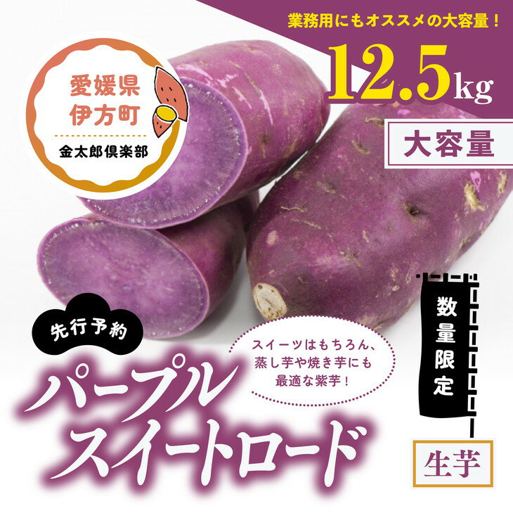 【ふるさと納税】【先行予約】【数量限定】パープルスイートロード　生芋（12.5kg）| 芋 さつまいも サツマイモ スイートポテト　※2024年12月上旬～2025年4月下旬頃に順次発送予定