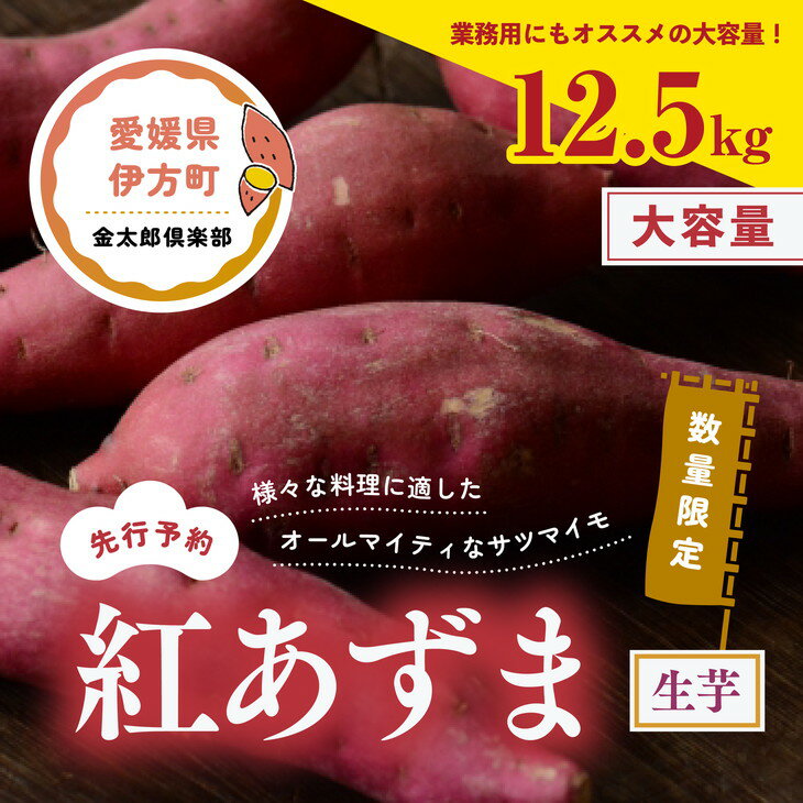 【ふるさと納税】【先行予約】【数量限定】紅あずま　生芋（12.5kg）| 芋 さつまいも サツマイモ スイ..