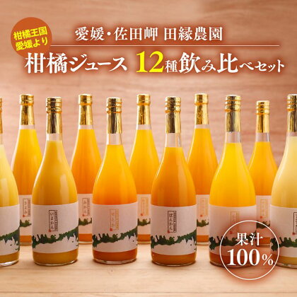 【数量限定】【愛媛県産】田縁農園の無添加100% 12種セット（温州みかん,清見タンゴール,伊予柑,河内晩柑,ぽんかん,ニューサマーオレンジ,せとか,ひょうかん,不知火,かんぺい,紅まどんな,あいおとめ）