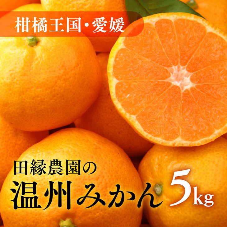 【ふるさと納税】【先行予約】【数量限定】田縁農園の温州みかん