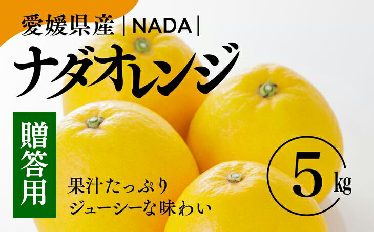 【ふるさと納税】【農家直送】愛媛県産 ナダオレンジ 贈答用 5kg みかん 柑橘 ギフト※2023年5月中旬～6月下旬頃に順次発送予定