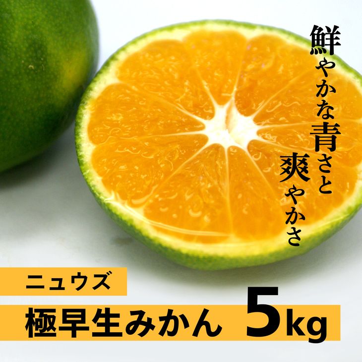 極早生みかん(生果)5kg ※2024年9月下旬〜10月下旬頃に順次発送予定