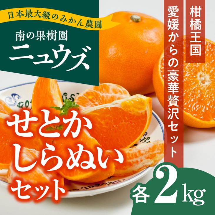 【ふるさと納税】【先行予約受付中】産地直送！愛媛県産せとか2