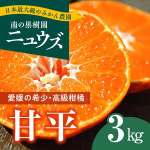 【ふるさと納税】【先行予約受付中】産地直送！愛媛県産甘平 3kg※2023年2月上旬～3月中旬頃に順次発送予定≪柑橘 みかん ギフト≫