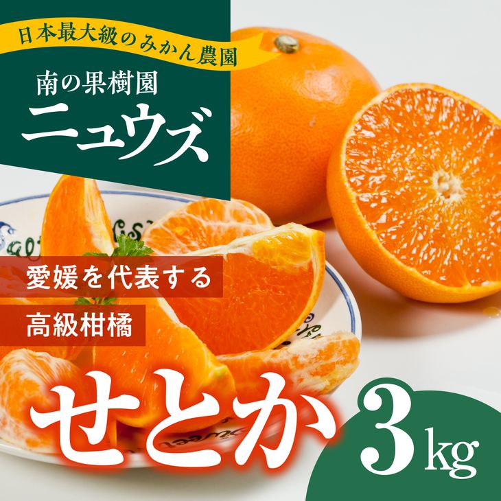 【ふるさと納税】【先行予約受付中】産地直送 愛媛県産せとか 3kg 2025年2月下旬～3月下旬頃に順次発送予定 ≪柑橘 みかん ギフト≫