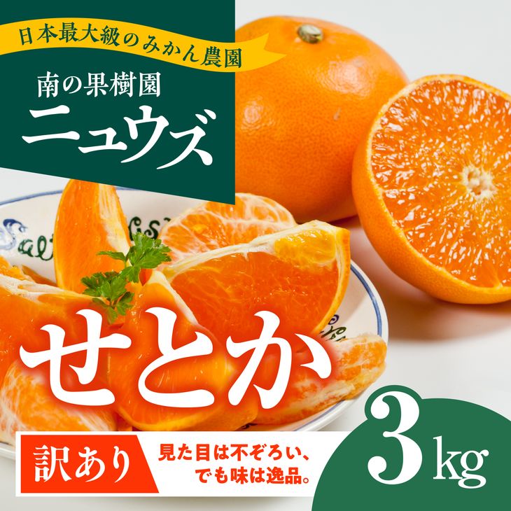 33位! 口コミ数「1件」評価「2」【先行予約受付中】産地直送！愛媛県産せとか（訳あり） 3kg　※2025年2月下旬～3月下旬頃に順次発送予定　≪柑橘 みかん ギフト≫