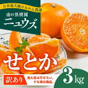 【ふるさと納税】【先行予約受付中】産地直送！愛媛県産せとか（訳あり） 3kg※2022年2月中旬～3月中旬頃に順次発送予定≪柑橘 みかん ギフト≫