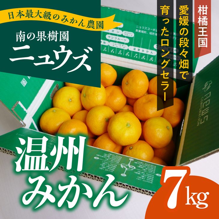 【ふるさと納税】【先行予約受付中】産地直送！愛媛県産温州みか