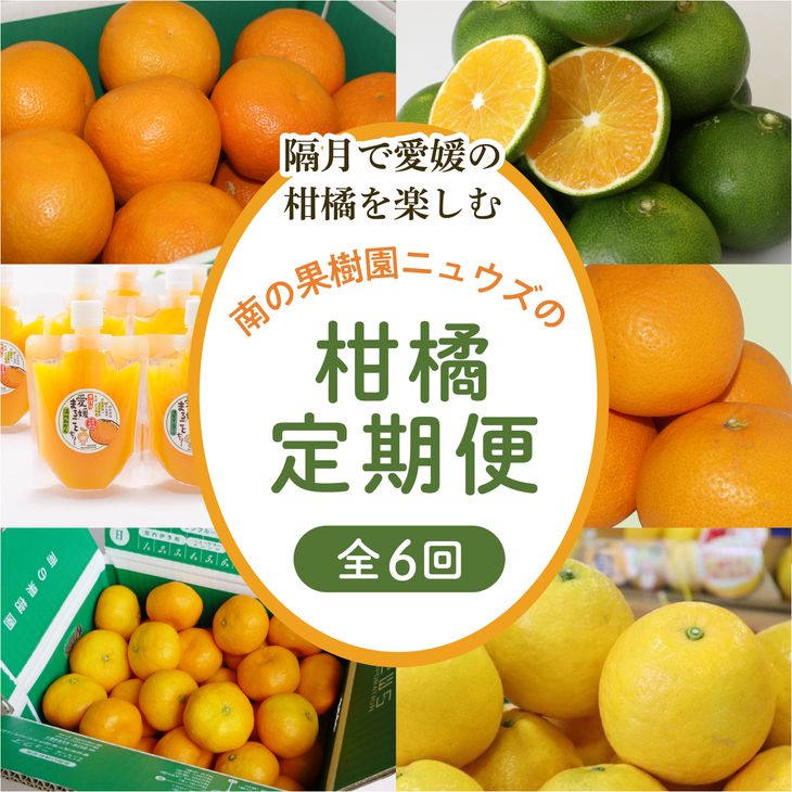 12位! 口コミ数「1件」評価「5」【6回定期便】【数量限定】産地直送！愛媛県産柑橘≪柑橘 みかん ギフト≫